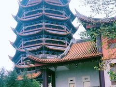 -铁山坪森林公园