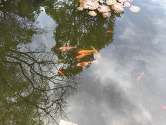 -巡塘古镇