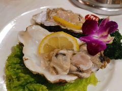 -阿里郎海鲜酒店
