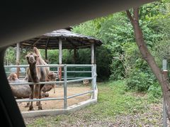 -常州淹城野生动物世界