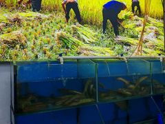 -湖南人家湘菜馆(镇江路店)