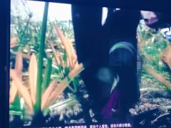 -魅KTV·AI辅唱(福雷德广场店)