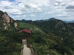 -大岭沟猕猴桃谷风景区