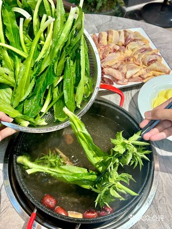 假芫茜汤煲！清远独一份吗 肉鲜汤清甜