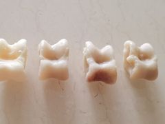 -香木香羊(小汤山店)