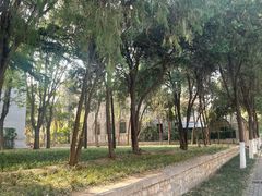 -山东大学(趵突泉校区)