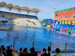 -北戴河圣蓝海洋公园