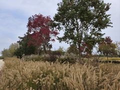 -嘉北郊野公园