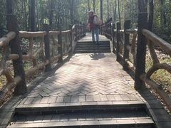 -青龙山国家森林公园
