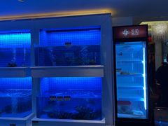 -金苑海鲜酒家(来魅力店)