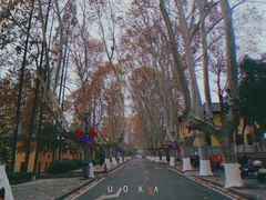 -T80科技文化国际社区-停车场