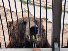 -鄂尔多斯野生动物园