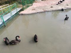 -琅岐红光湖公园