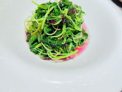 -蟹榭·莳鲜(虹桥高岛屋店)