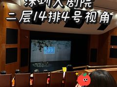 -深圳大剧院