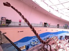 -陕西自然博物馆