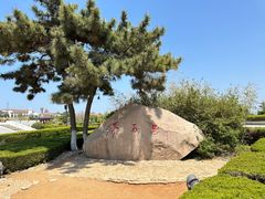 -养马岛旅游度假区