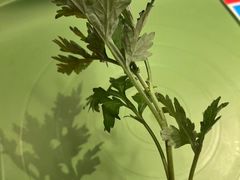 -麦当劳(莆田荔城大道万达店)