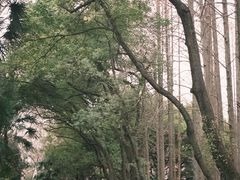 -采石矶景区