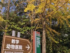 -浙江农林大学(东湖校区)