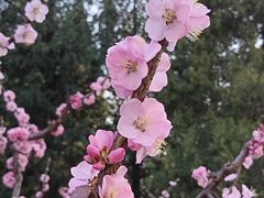 -颐和园