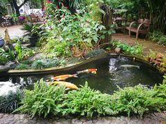 -Fern Forest Cafe