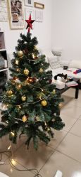-新奇玩具工厂店