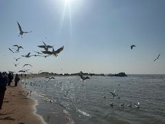 -老虎石海上公园