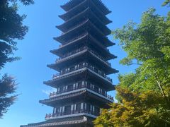-宜兴龙背山森林公园