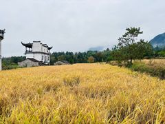 -塔川景区