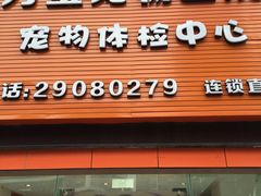 -创凡宠物医院·骨专科  猫科中心(西乡分院)