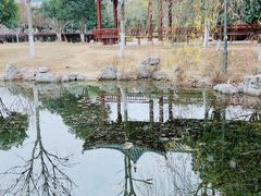 -金银湖国家城市湿地公园