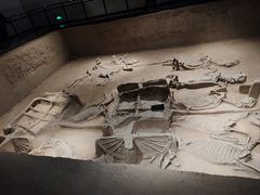 -洛阳周王城天子驾六博物馆