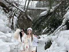 -峡谷浮石林景区