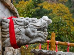 -金龙寺国家森林公园