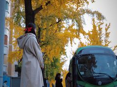 -四川大学(华西校区)