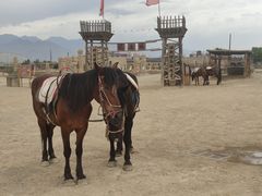 -镇北堡西部影城