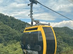 -栾川竹海野生动物园