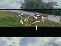 -上海野生动物园