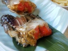 -渔娘渔家丹东海鲜(东直门店)