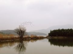 -鸣鹤古镇