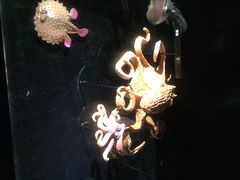 iphone_upload_pic-同济大学四平路校区深海探索馆
