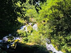 -神农架香溪源景区