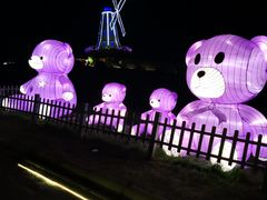 -大塘金香草谷