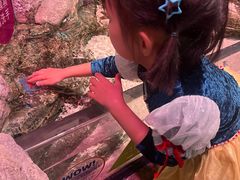 -沈阳海洋探索中心