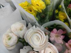 -循礼门鲜花花市(武汉循礼门店)