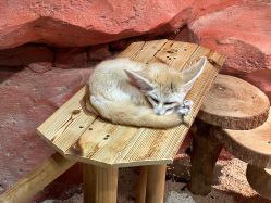 -Zoolung Zoolung动物主题公园(海信广场店)