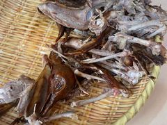 -光明刘冰乳鸽店(光明法政北路店)