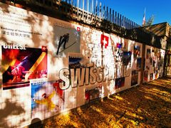 -三里屯东五街银杏大道