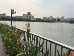 -莲花池公园